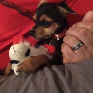 Meet your Posher, Marie